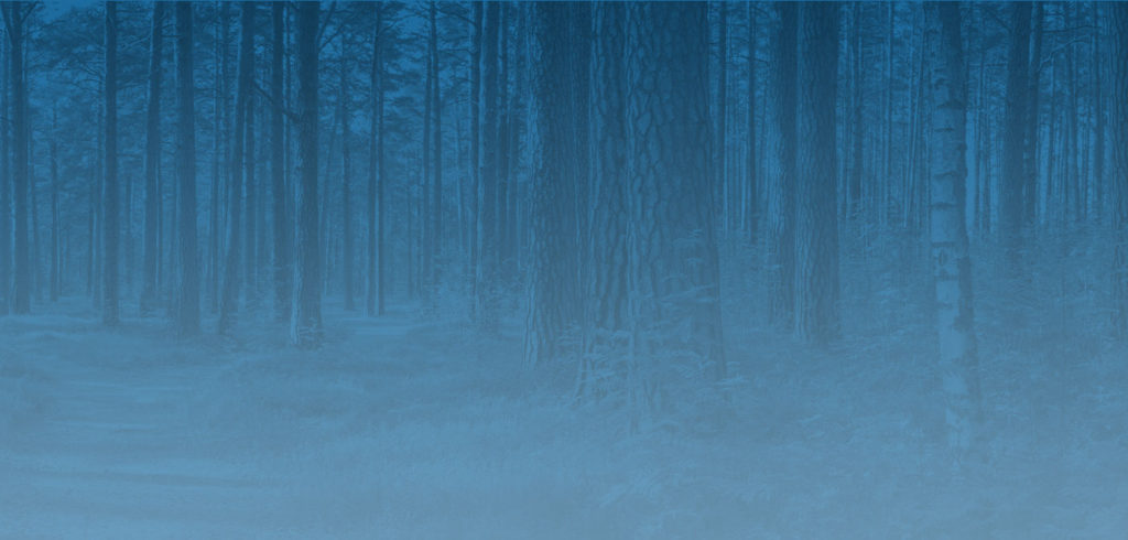 environmental sustainability